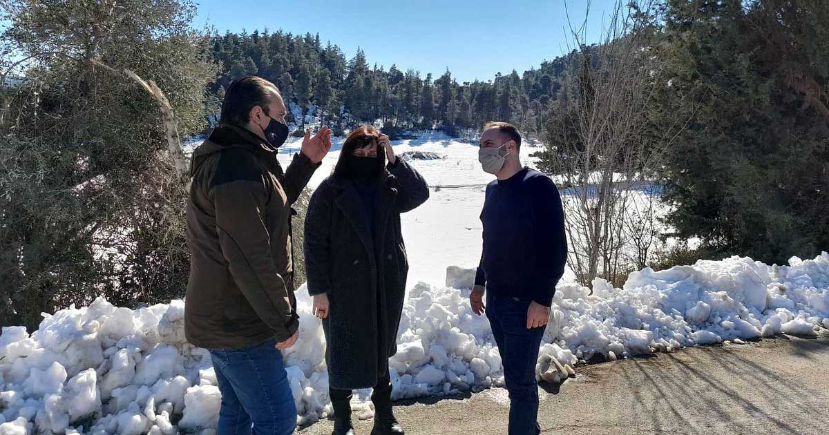 Χατζηγιαννάκης Κοντζιάς