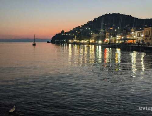 Ξεκινούν οι εκδηλώσεις του Μεγάρου Μουσικής στην Βόρεια Εύβοια