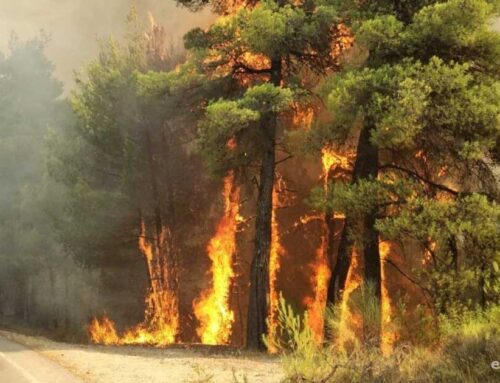 Πυρκαγιά σε δασική έκταση στην Μακρυκάπα