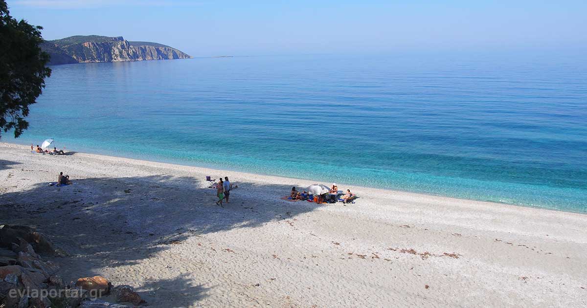 Το πλάτος και το μήκος της παραλίας Κορασίδα στην Εύβοια την καθιστά ιδανική για όσους θέλουν να αποφύγουν τον συνωστισμό