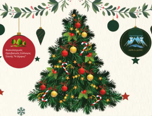 Ο Φυσιολατρικός Ορειβατικός Σύλλογος Στενής “ανάβει” το Χριστουγεννιάτικο δέντρο