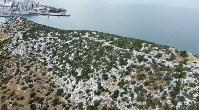 Πεζοπορία στο λόφο Βεσσαλά