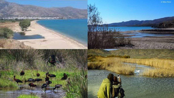 Άμεση προστασία του υγροτόπου Κάμπου Καρύστου