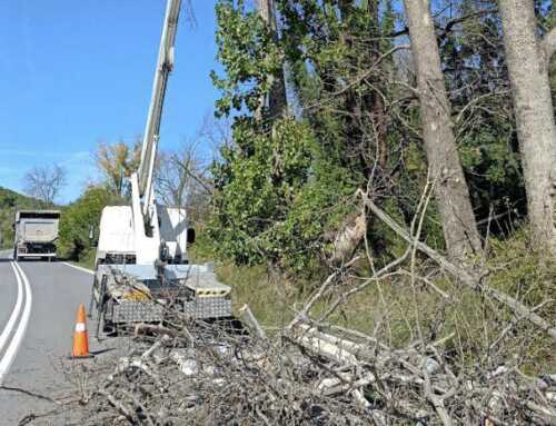 Ολοκληρώθηκαν εργασίες πρασίνου στο οδικό δίκτυο της Εύβοιας