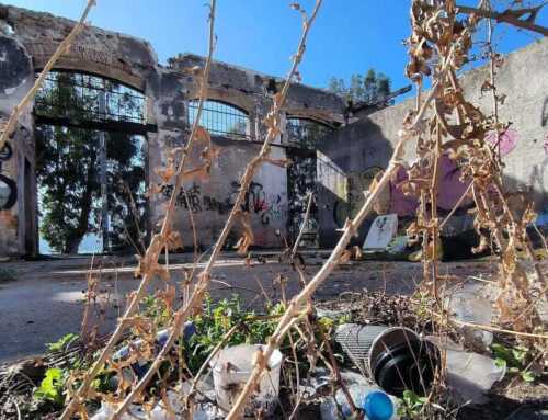 H Άννα Παππά για τον ΟΣΕ Χαλκίδας: Επτά χρόνια αδράνειας και εγκατάλειψης