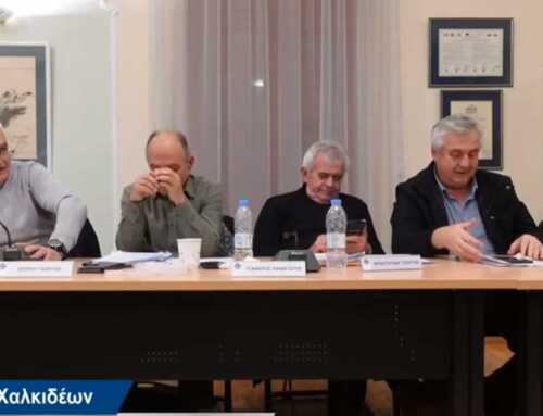 Σπύρου: «Αναγκαίες δράσεις για το κυνοκομείο και τη διαχείριση των αδέσποτων»