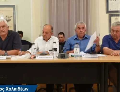 Ο Γιώργος Σπύρου για τα περιβαλλοντικά προβλήματα της Αυλίδας